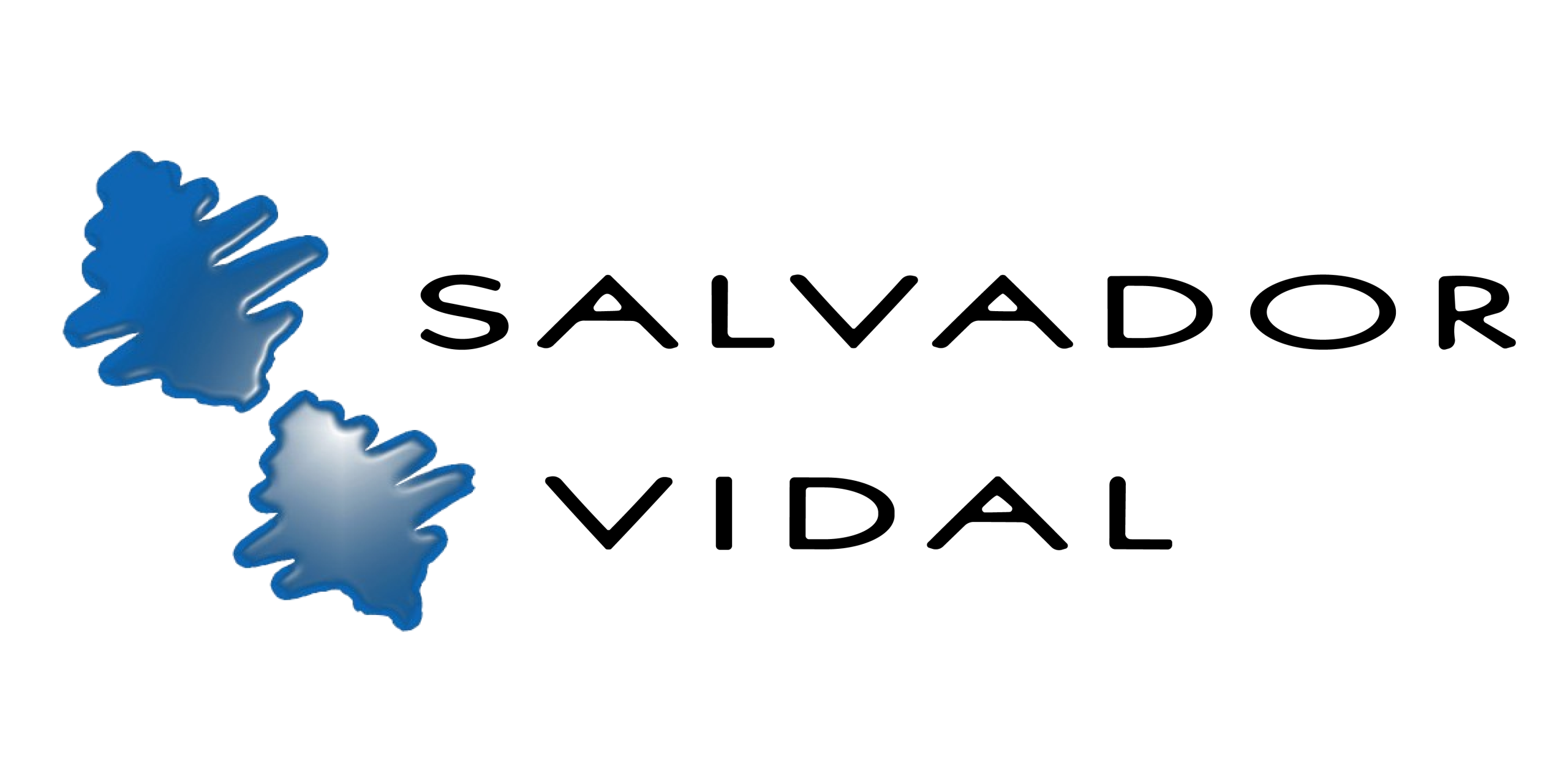 SALVA VIDAL_Logo Principal